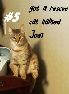 jodi