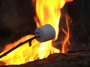 roasting-marshmallows